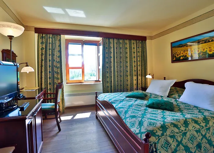 Romantic Mlyn Hotel 4*