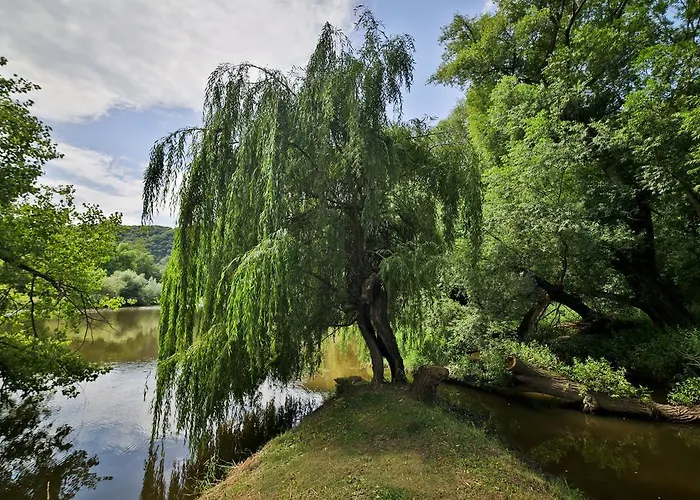 Romantic Mlyn Отель 4*