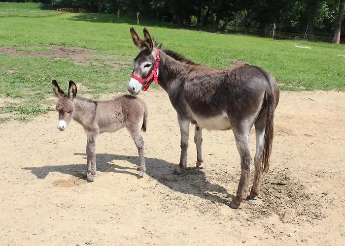 Romantic Mlyn Отель